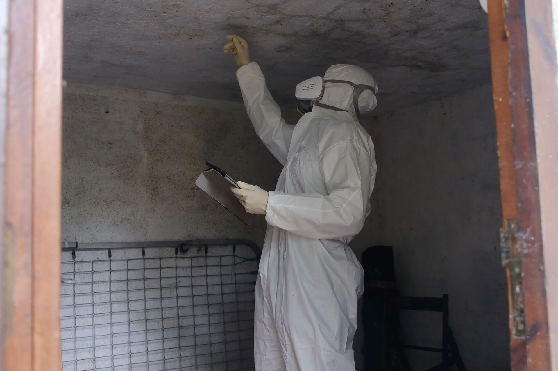 environmental-services