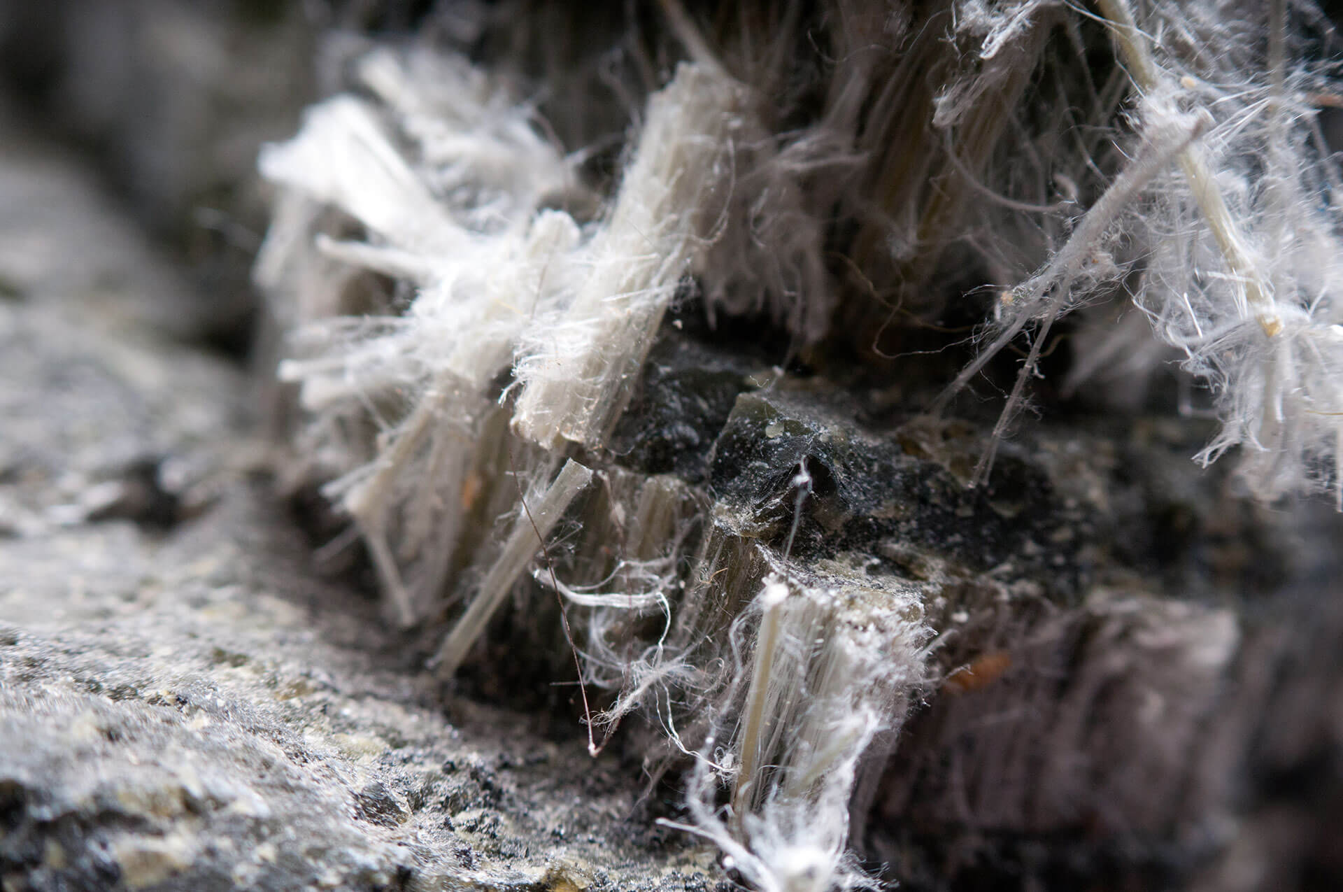 lead-asbestos-abatement