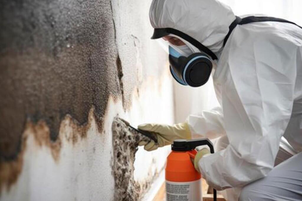 mold-remediation-MIS-Corp